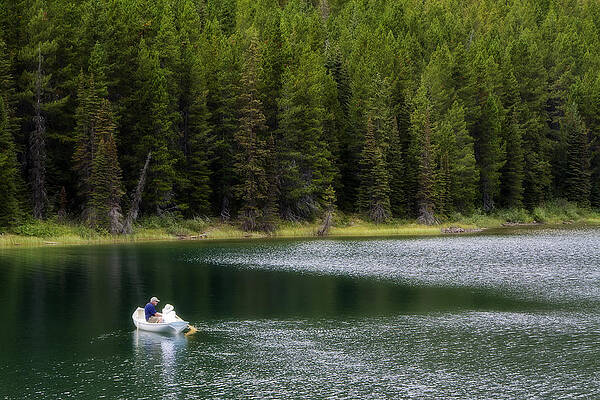 Wildlife Wall Art featuring the photograph Swiftcurrent Lake Many Glacier Montana #2 by Waterdancer