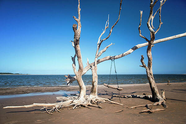 Florida Wall Art featuring the photograph Swingin' At Low Tide by Ghostwinds Photography