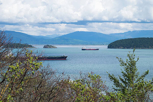 Photograph - Tankers In Padilla Bay by Tom Cochran