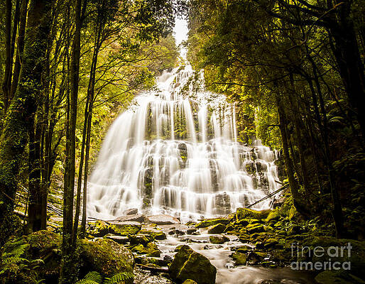 Majestic Forest Waterfall Wall Art