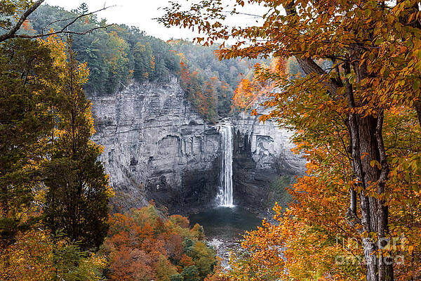 Finger Lake Photograph - Taughannock Autumn by William Norton