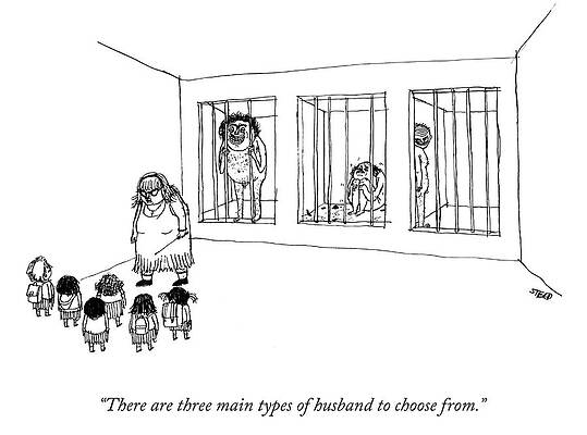 Humorous Cartoon of Husband Types Drawing