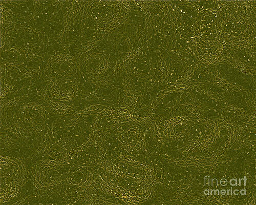 Wall Art featuring the photograph Tendrils by Onedayoneimage Photography