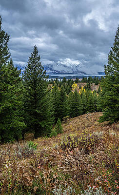 Fall Wall Art featuring the photograph Teton Autumn by Jeff Stoddart