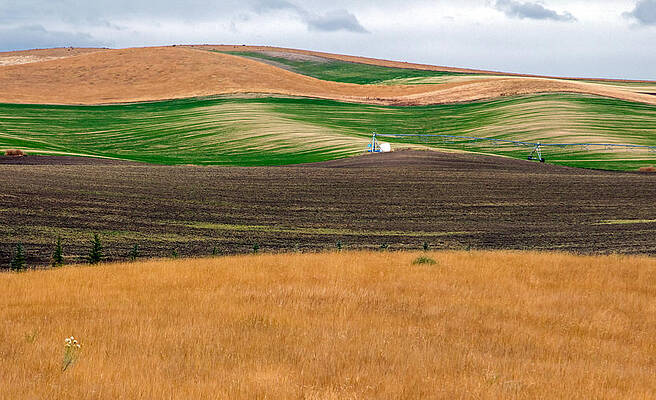 Country Wall Art featuring the photograph Textures Of Idaho 1 by Nicholas Blackwell