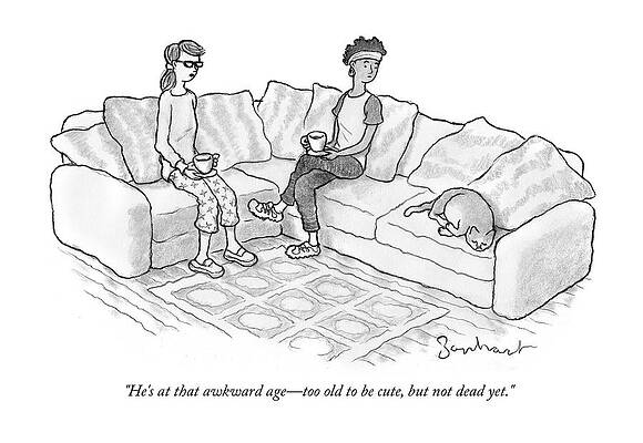 Rest Drawing - That Awkward Age by David Borchart