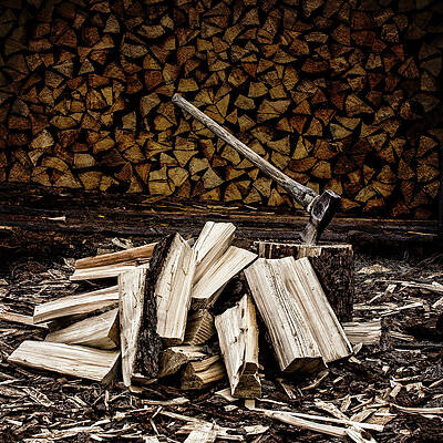 Wall Art featuring the photograph The Art Of Keeping Warm by Fred Denner