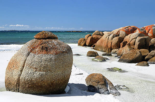 Beach Photograph - The Bay Of Fires by Nicholas Blackwell