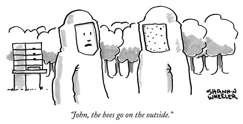 Bee Wall Art featuring the drawing The Bees Go On The Outside by Shannon Wheeler