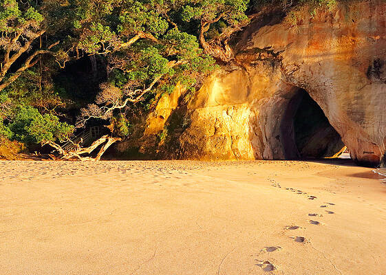 Beach Photograph - The Cathedral by Nicholas Blackwell