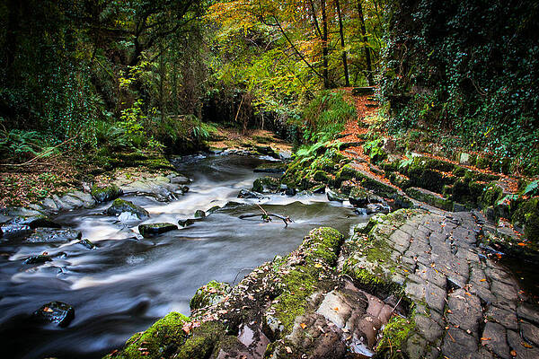 Nature Photograph - The Clare Glens by Mark Callanan