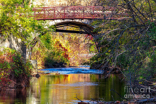 Fall Photograph - The Creek by William Norton