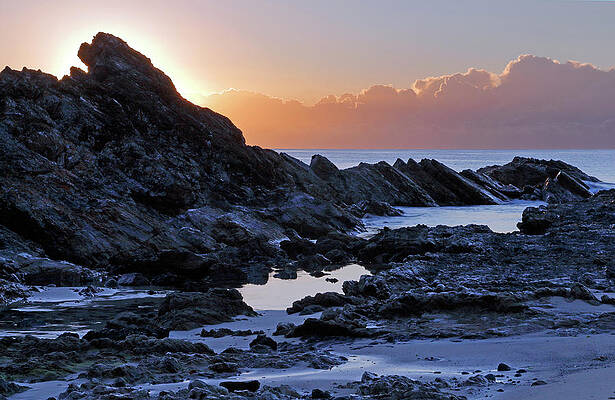 Beach Photograph - The Elements by Nicholas Blackwell