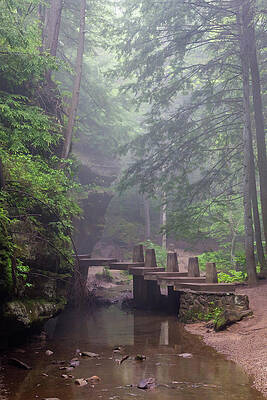 Outdoors Photograph - The Floating Bridge by Steve L'Italien