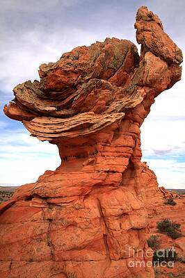 Wilderness Wall Art featuring the photograph The Gladiator by Adam Jewell