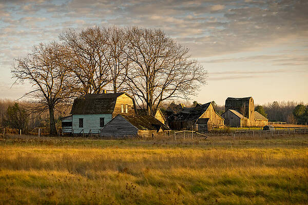 The Homestead by Steve L'Italien