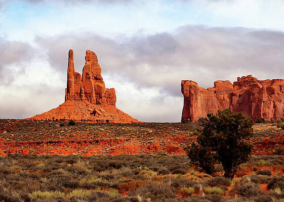 Desert Photograph - The King On His Throne by Nicholas Blackwell