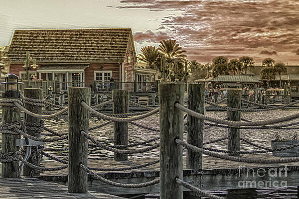 Fl Wall Art featuring the photograph The Landing by Mary Lou Chmura