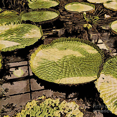 Nature Photograph - The Lily Pads by Onedayoneimage Photography