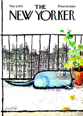 Relaxing Cat on a Balcony Wall Art