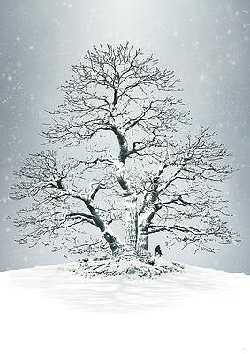 Weirwood Tree in Snowy Landscape Digital Art