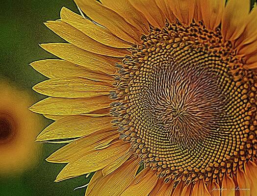 Wall Art featuring the digital art The Onlooker by Jacalyn Ackerman