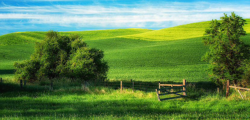 Sky Photograph - The Open Gate by Mary Jo Allen