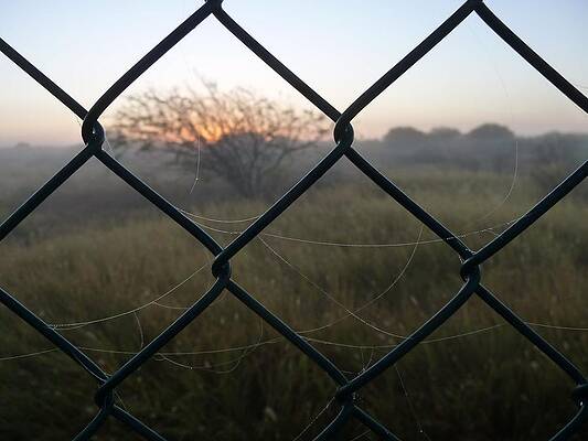 Photograph - The Outlander by Jeremy Holton