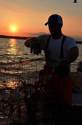 Boat Photograph - The Potomac In Color by La Dolce Vita