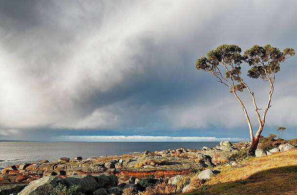 Sky Wall Art featuring the photograph The Sea And The Sky by Nicholas Blackwell