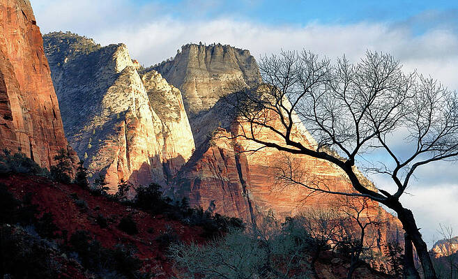 Rocky Photograph - The Sentinel by Nicholas Blackwell