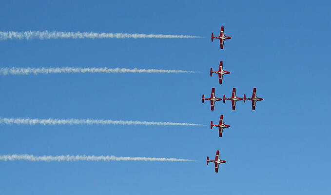 Canada Wall Art featuring the photograph The Snowbirds by Tatiana Travelways