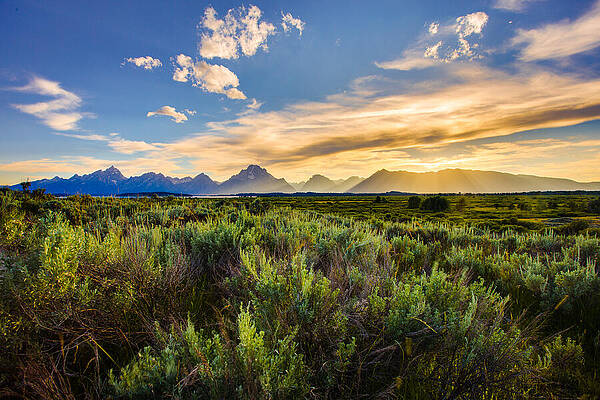 Wall Art featuring the photograph The Teton Range - Grand Teton National Park by Adam Mateo Fierro