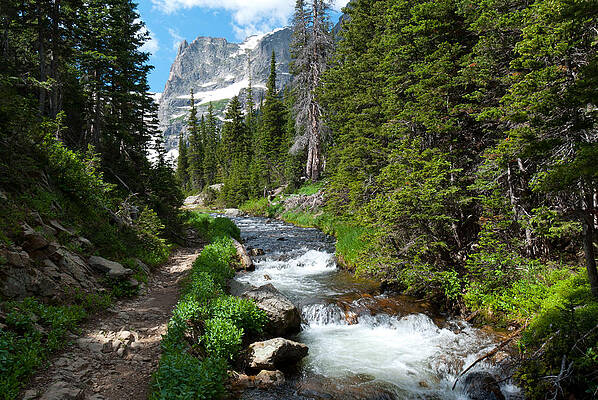Rocky Mountain National Park Photograph - The Trail To Odessa Lake by Cascade Colors