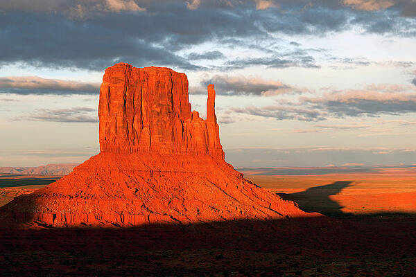 Desert Photograph - The View by Nicholas Blackwell