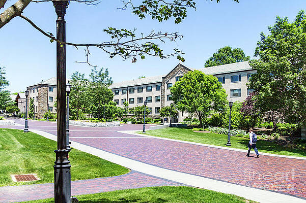 Villanova University Photograph - The VU Quad by William Norton