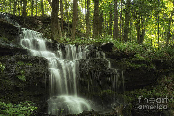 Wall Art featuring the photograph The Waterfall In The Forest by Mary Lou Chmura