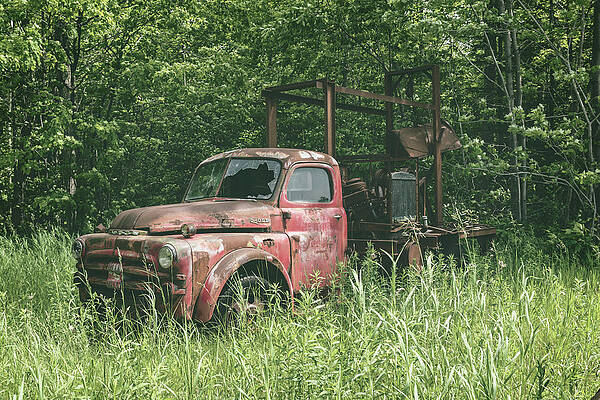 Wall Art featuring the photograph They Call Me Rusty by Steve L'Italien