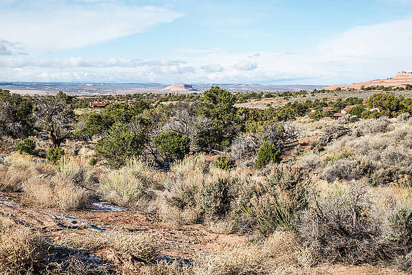 Washington Photograph - This Is Not Western Washington by Tom Cochran