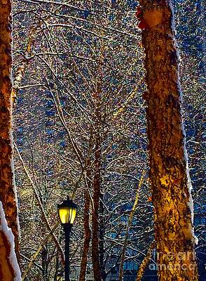 Reflection Photograph - This Is The Land Of Narnia Said The Faun by Debra Banks