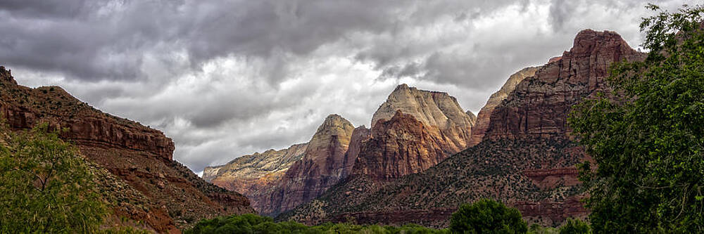 Natural Photograph - Zion by Steve L'Italien