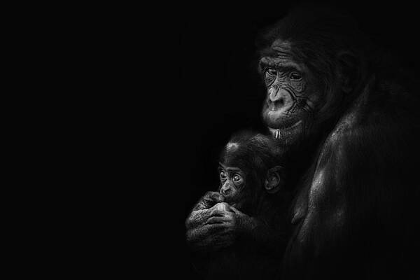 Wall Art featuring the photograph This Moment by Ghostwinds Photography