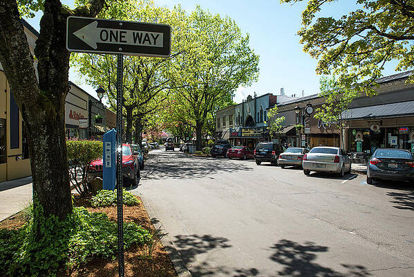 Landscape Photograph - This Way In Camas by Tom Cochran
