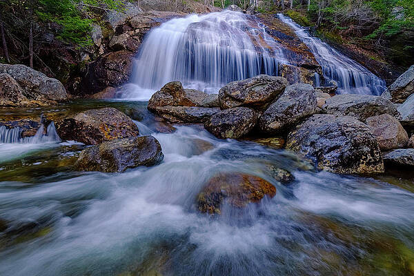 Wall Art featuring the photograph Thompson Falls, Pinkham Notch, NH by Jeff Sinon