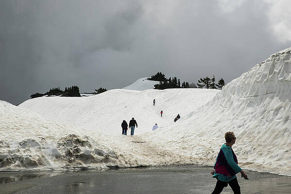 Sky Wall Art featuring the photograph Threatening Sky And Slippery Trail by Tom Cochran
