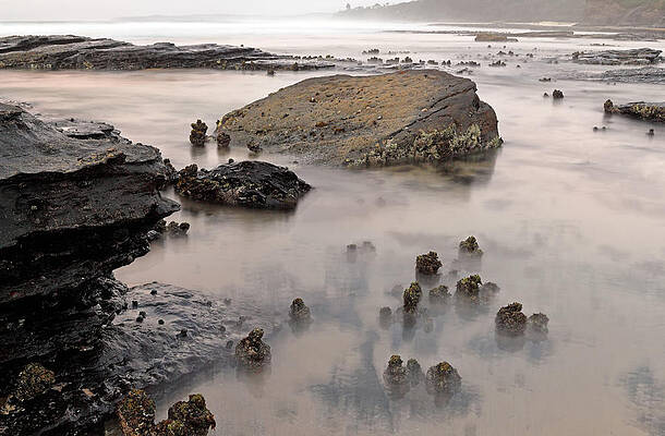 Beach Photograph - Tidal 4 by Nicholas Blackwell