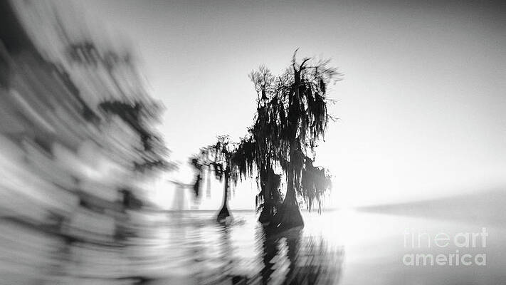 Osprey Wall Art featuring the photograph Timeless by Ghostwinds Photography