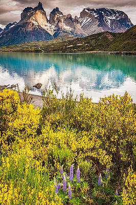 National Wall Art featuring the photograph Torres Del Paine Reflection - Patagonia Photograph by Duane Miller