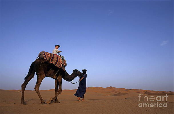 Camel Ride at Sunset Wall Art