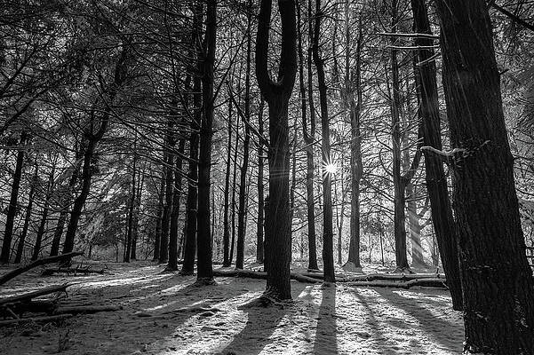 Beautiful Photograph - Toward The Light by Todd Wilkinson